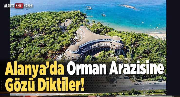 Alanya’da Orman Arazisine Gözü Diktiler!