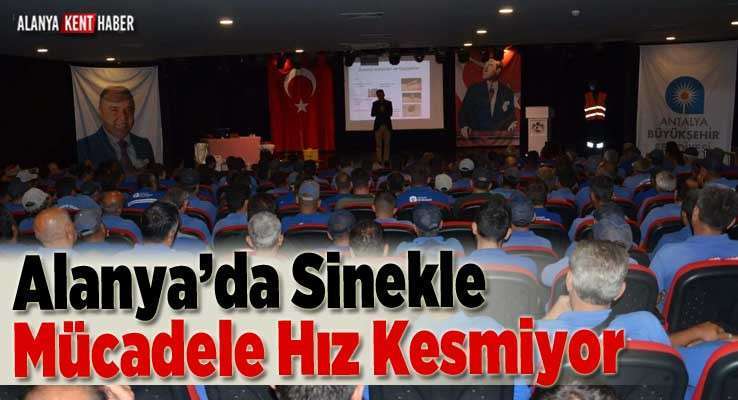 Alanya’da Sinekle Mücadele Hız Kesmiyor