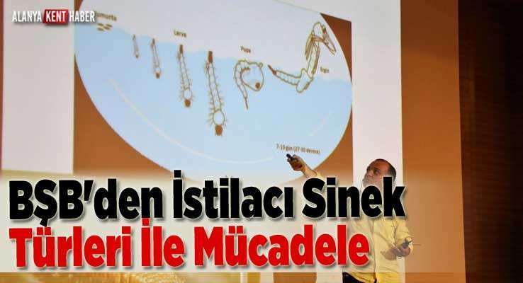 BŞB'den İstilacı Sinek Türleri İle Mücadele