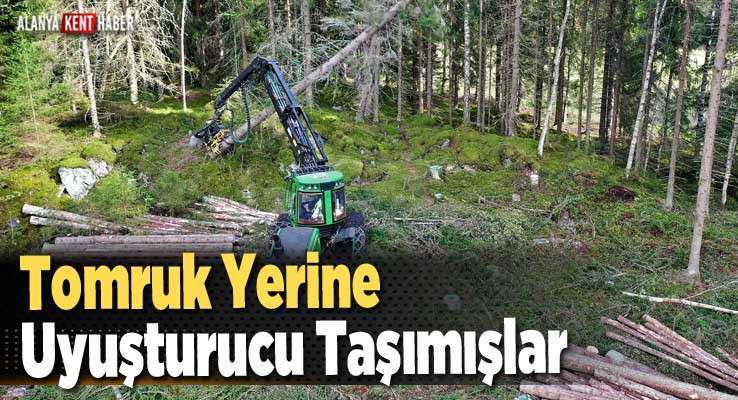 Tomruk Yerine Uyuşturucu Taşımışlar